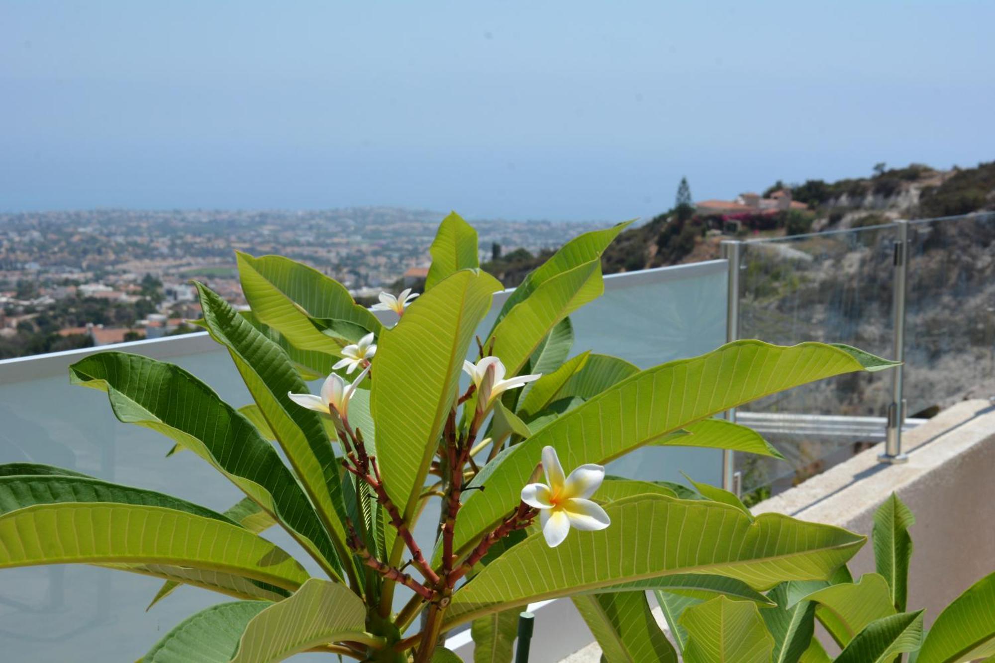 Villa Ocean Breeze Peyia Exterior foto
